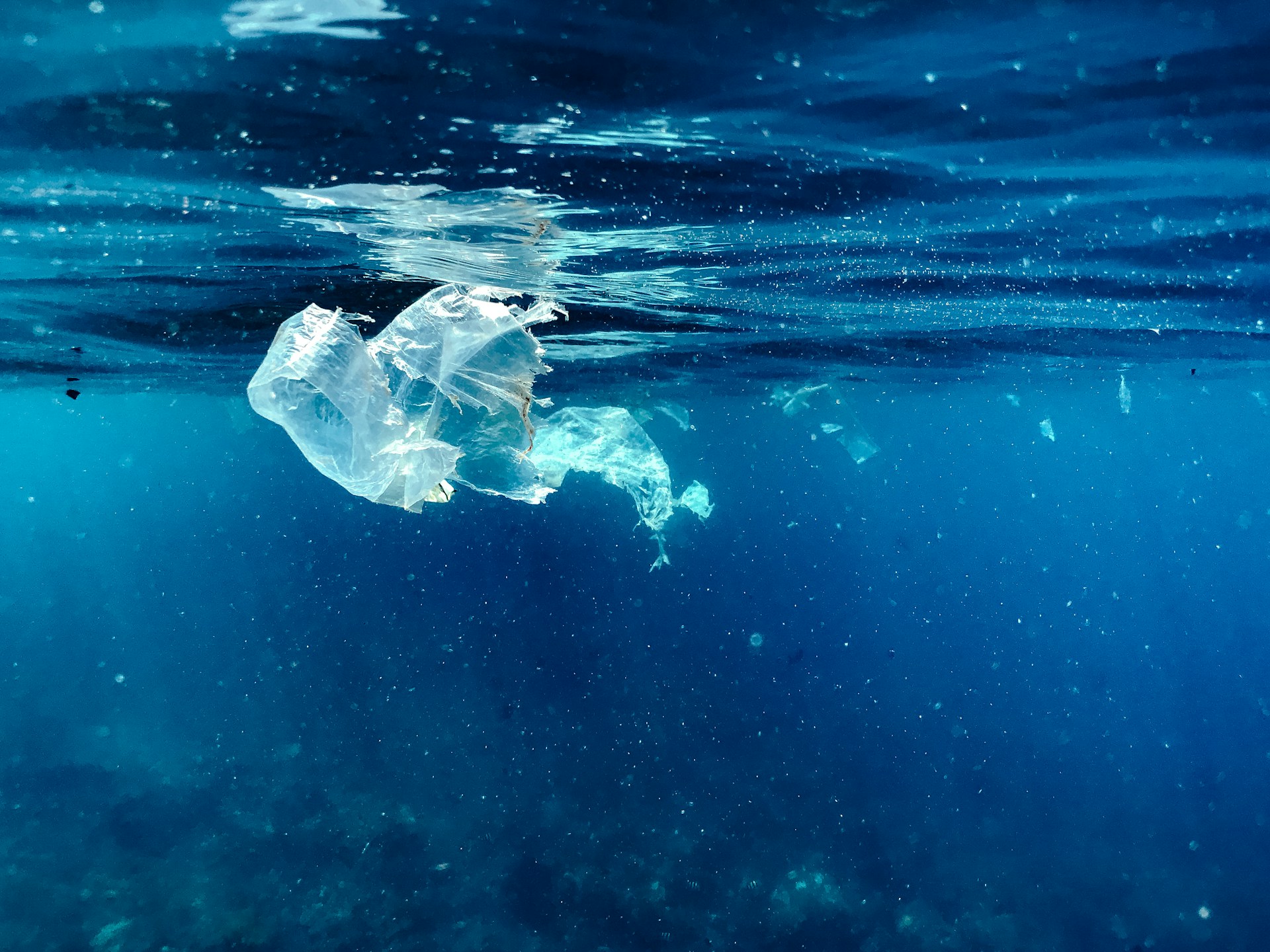 Symbolic image of marine litter: plastic waste floating under the surface of the water