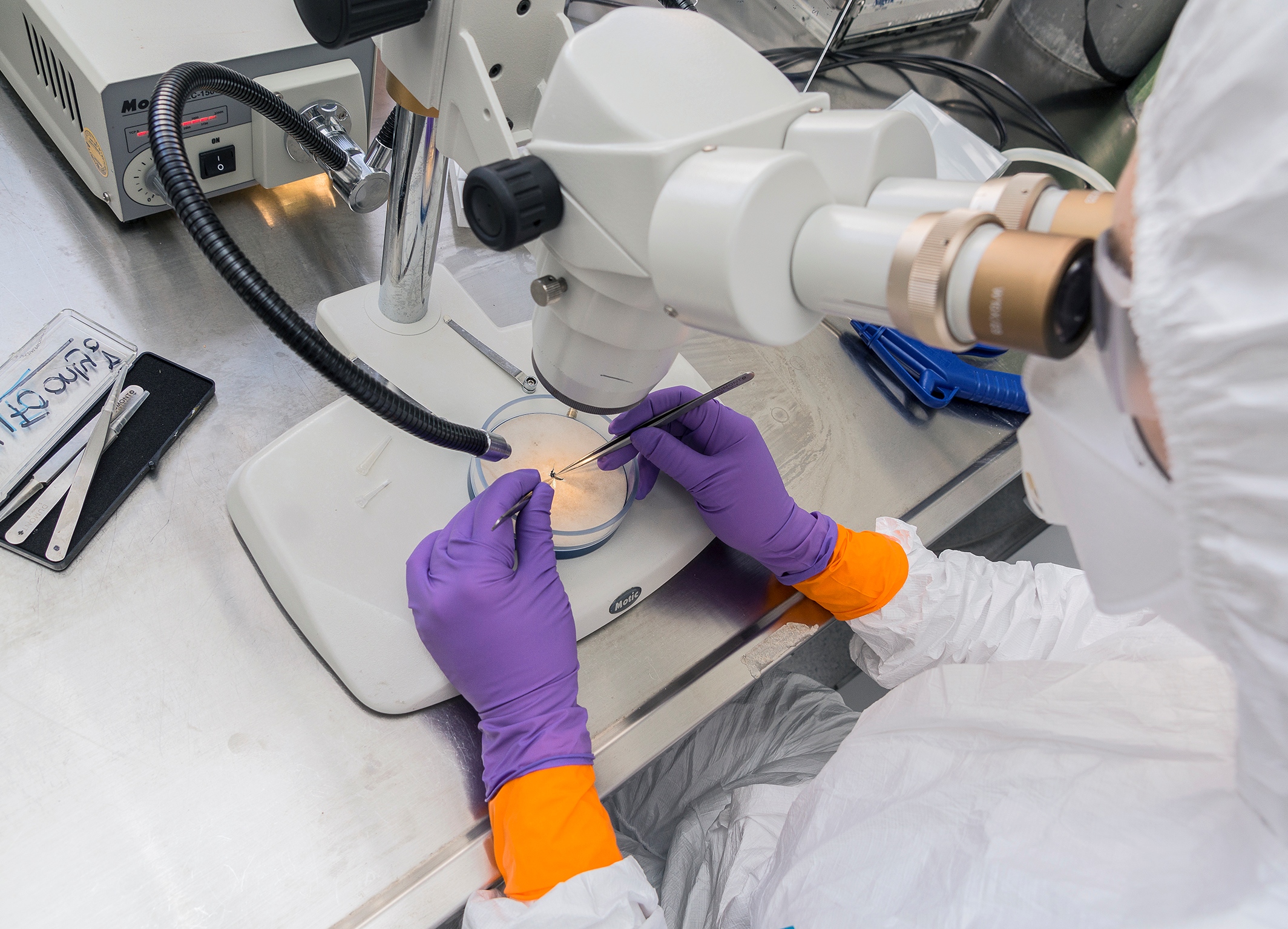 Wissenschaftler in Schutzanzug untersucht Probe unter Mikroskop mit Pinzette in Laborumgebung.